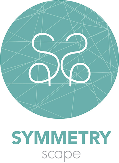 Week 8 - Symmetryscape